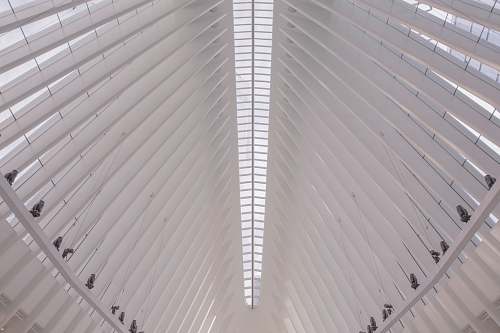 westfield world trade center low angle photo of building interior new york